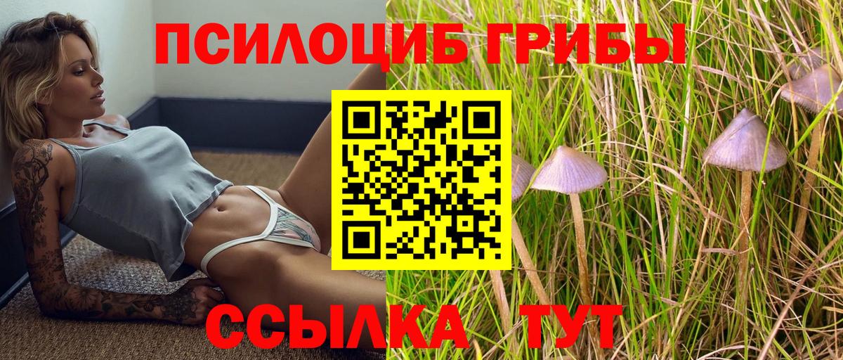 Псилоцибиновые грибы мухоморы  Вход с VPN  Белореченск 