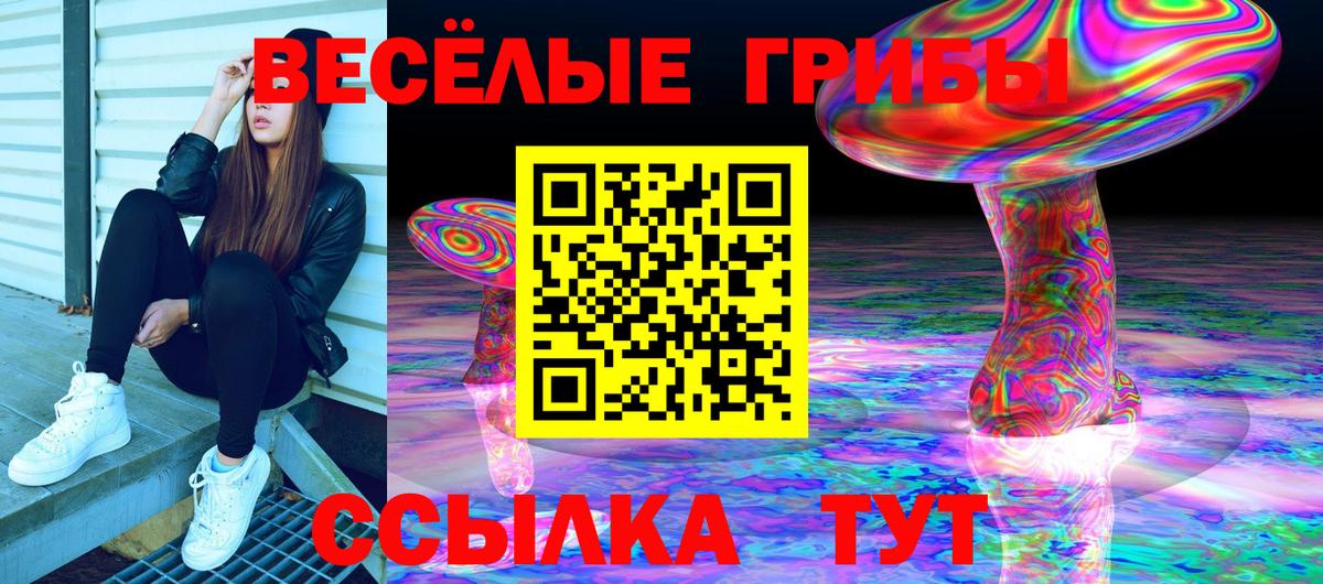 Псилоцибиновые грибы MAGIC MUSHROOMS Белореченск